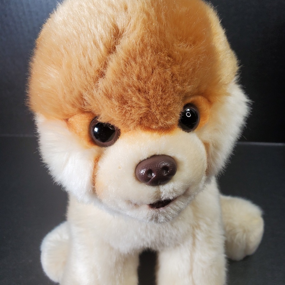 Gund Boo The World's Cutest Dog Pomeranian Plush 9" Stuffed Animal 4029715
